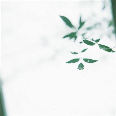 元神合击官方版