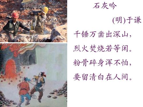 一品包大人官方版下载